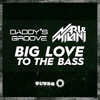 Daddy's Groove vs. Nari & Milani – Big Love to the Bass