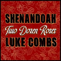 Přední strana obalu CD Two Dozen Roses