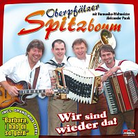Oberpfalzer Spitzboum – Wir sind wieder da