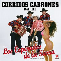 Los Esperados de la Sierra – Corridos Cabrones, Vol. 3