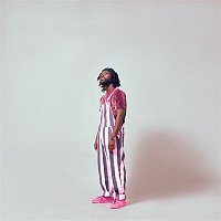 Přední strana obalu CD Skrr Skrr