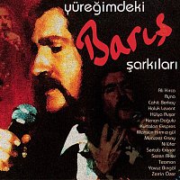 Various  Artists – Yuregimdeki Baris Sarkilari