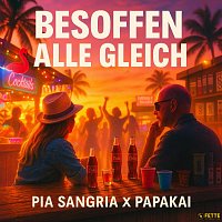 Přední strana obalu CD Besoffen alle gleich