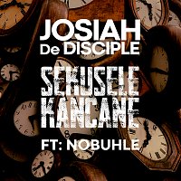 Josiah De Disciple, Nobuhle – Sekusele Kancane