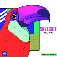 Přední strana obalu CD Skylight