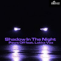 Shadow In The Night