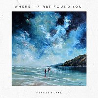 Přední strana obalu CD Where I First Found You