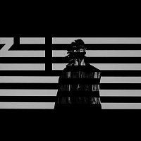 ZHU, partywithray – Came For The Low