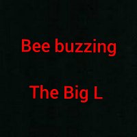 The Big L – Bee Buzzing