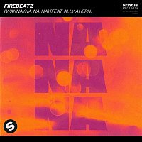 Firebeatz – I Wanna (Na, na, na) [feat. Ally Ahern]