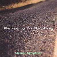 Přední strana obalu CD Strange Symphony