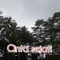 Přední strana obalu CD Cinta Sejati