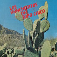 Los Rancheritos Del Topo Chico – Ay! Guerita