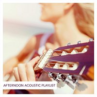 Přední strana obalu CD Afternoon Acoustic Playlist