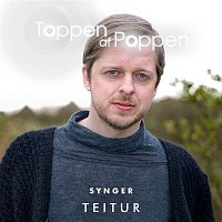 Various  Artists – Toppen Af Poppen Synger Teitur