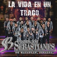 Banda Los Sebastianes De Saúl Plata – La Vida En Un Trago