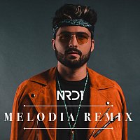 Melodia Remix [Radio Edit]