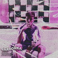 Přední strana obalu CD Garsonka