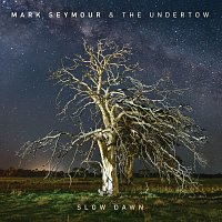 Mark Seymour & The Undertow, Mark Seymour – The Whole World Is Dreaming