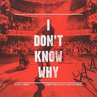 Gavin James – I Don't Know Why (Vertue Remix - Radio Edit)