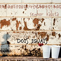 Přední strana obalu CD Dois Iguais