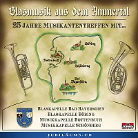 Různí interpreti – 25 Jahre Musikantentreffen mit der Blasmusik aus dem Ammertal
