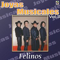 Los Felinos – Joyas Musicales: Se Ponen Románticos, Vol. 3