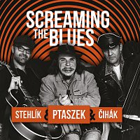 Matěj Ptaszek, Jan Stehlík, Jan Čihák – Screaming the Blues MP3