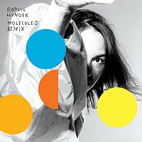 Sophie Hunger – Molecules Remix