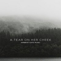 Ambient Gate Music, Raymoon – A Tear On Her Cheek