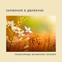 Přední strana obalu CD Хармония в движение