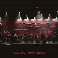 Mao Morta & Remix Ensemble – Pássaros a Esvoacar (Ao Vivo)