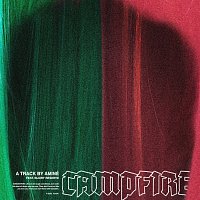 Aminé, Injury Reserve – Campfire