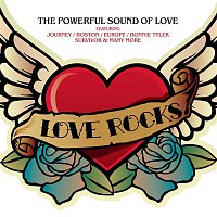 Various  Artists – Love Rocks