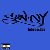 SunN.Y – Introduction