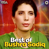 Bushra Sadiq – Best Of Bushra Sadiq