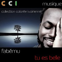 Přední strana obalu CD Tu Es Belle