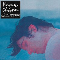 Requin Chagrin – Sémaphore
