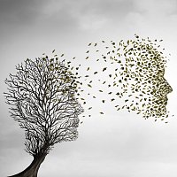 Přední strana obalu CD Transcendence