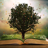 Přední strana obalu CD Wisdom