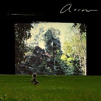 The Head And The Heart – Arrow