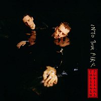 These New Puritans – Into the Fire