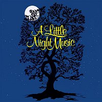 Přední strana obalu CD A Little Night Music - Original Broadway Cast Recording