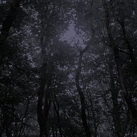 LUAMEL – Untitled