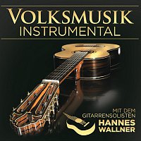 Hannes Wallner – Volksmusik Instrumental - Gitarre