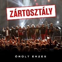 Přední strana obalu CD Őrult Érzés I.