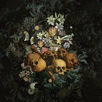Mujuice – Downshifting