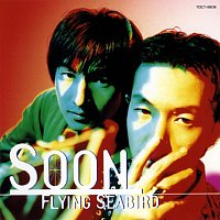 Soon – Flying Seabird