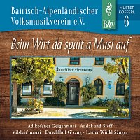 Různí interpreti – Bairisch-Alpenländischer Volksmusikverein E.V. - Musterkofferl 6 - Beim Wirt da spuit a Musi auf
