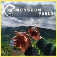 Různí interpreti – 30 Mins : Monsoon Feels
